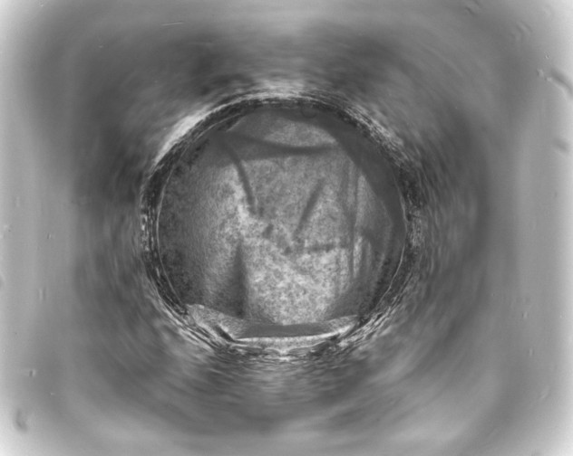 X0000093731208200710301037