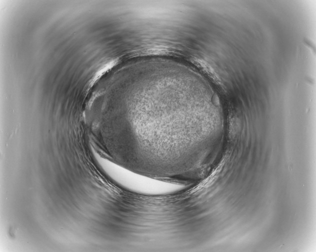 X0000093731210200710301037