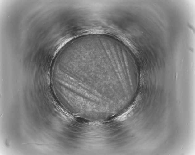 X0000093731212200710301037