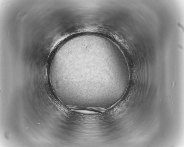 X0000093731214200710301037