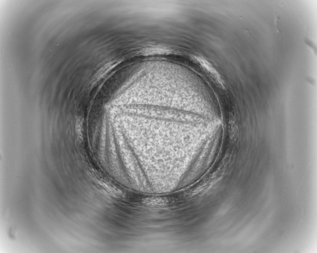 X0000093731217200710301037