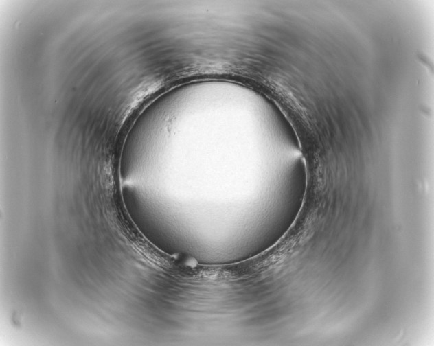 X0000093731218200710301037