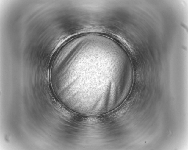 X0000093731220200710301037