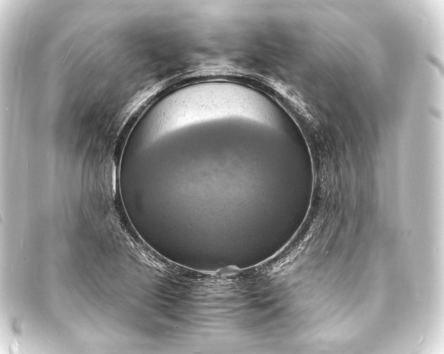 X0000093731221200710301037