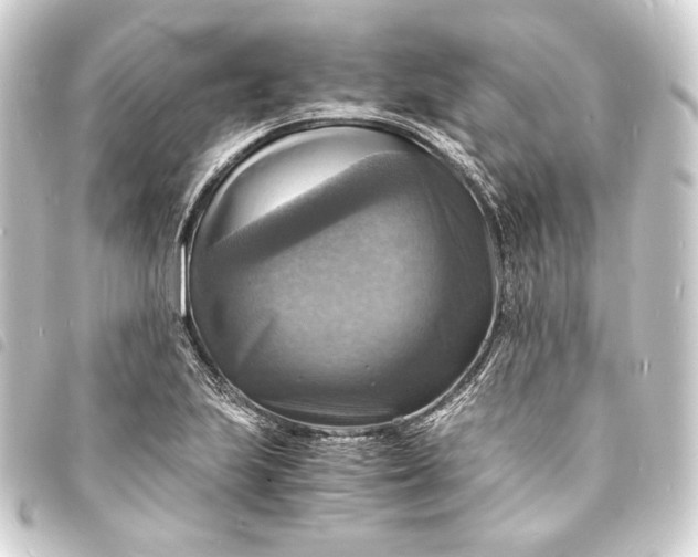 X0000093731223200710301037
