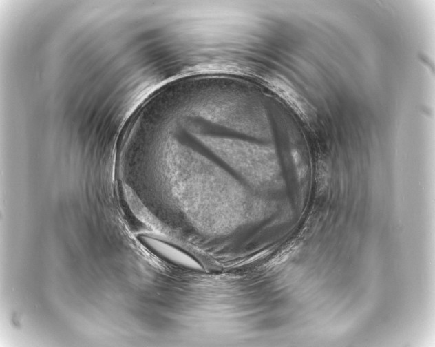 X0000093731228200710301038