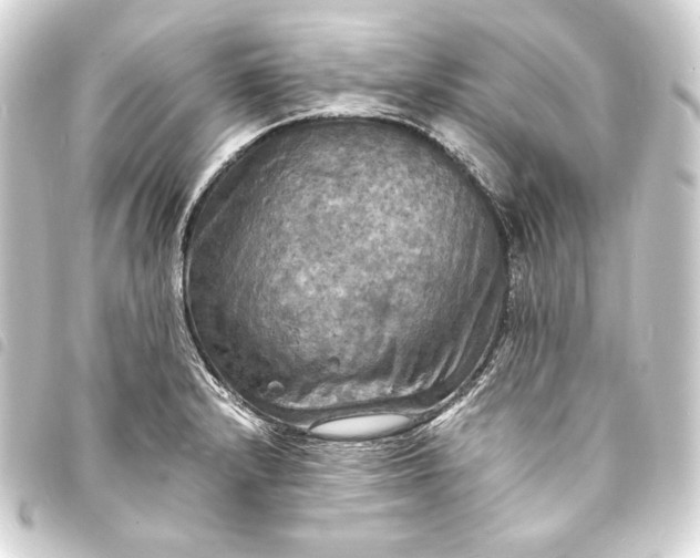 X0000093731232200710301038