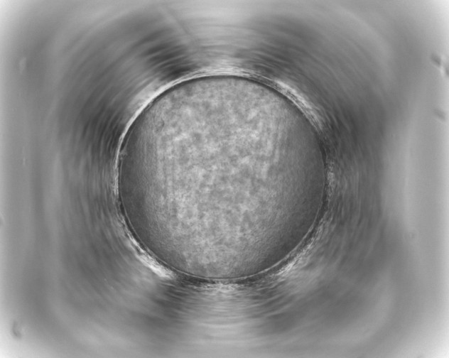 X0000093731236200710301038