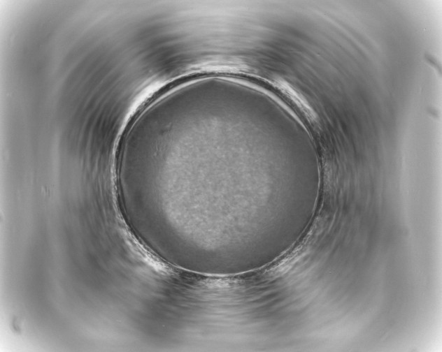 X0000093731240200710301038