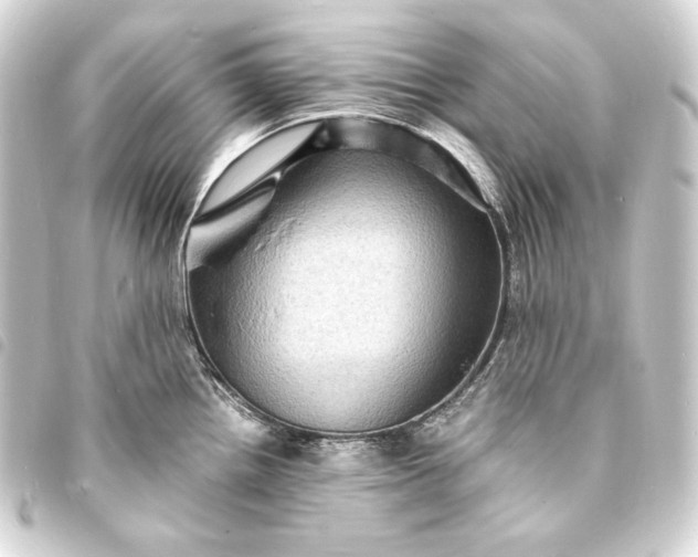 X0000093731242200710301038