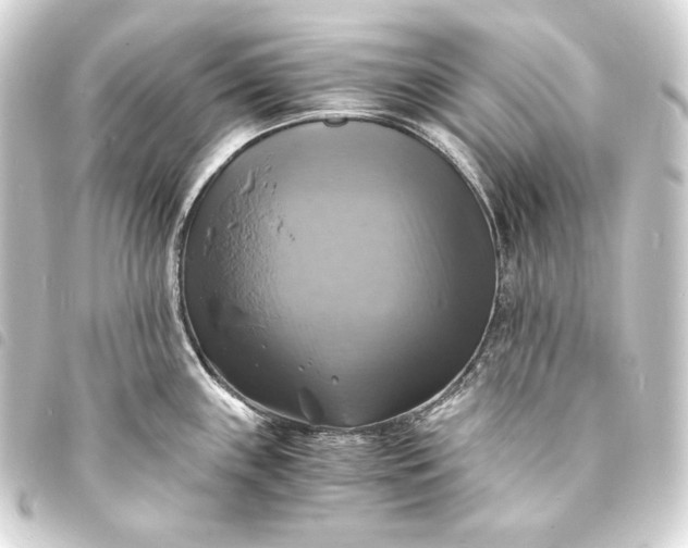 X0000093731243200710301038