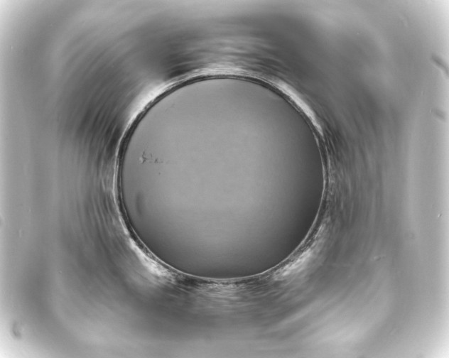 X0000093731245200710301038