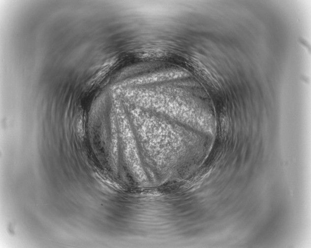 X0000093731250200710301037