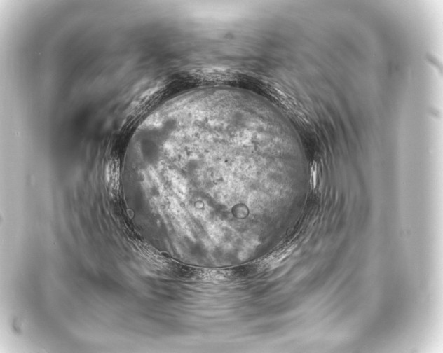 X0000093731251200710301037