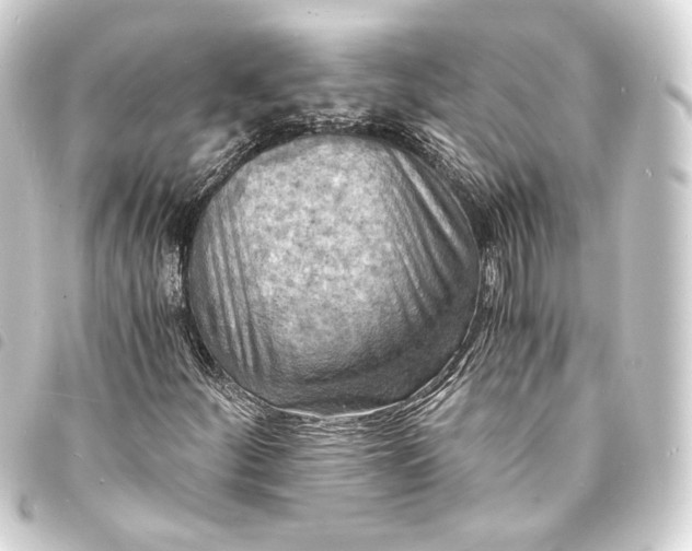 X0000093731252200710301037