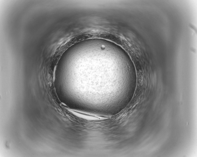 X0000093731253200710301037