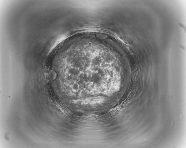 X0000093731255200710301037