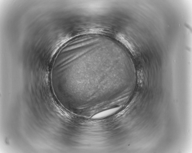 X0000093731260200710301037