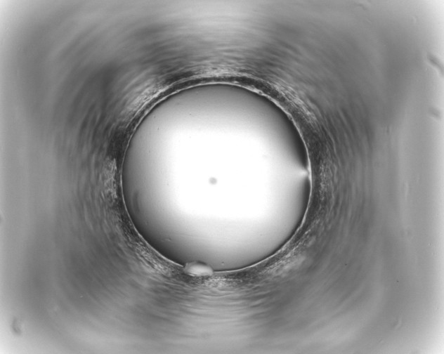 X0000093731265200710301037