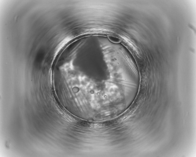 X0000093731275200710301037
