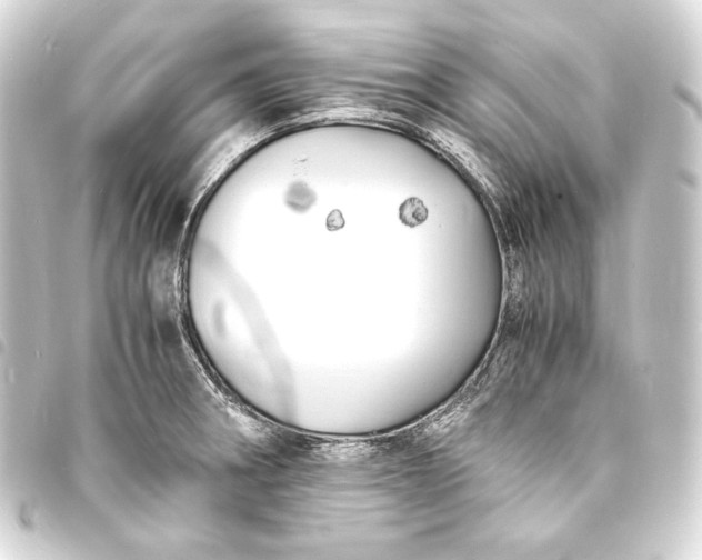 X0000093731282200710301037