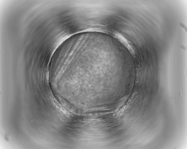 X0000093731284200710301037