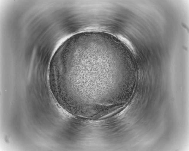 X0000093731288200710301037
