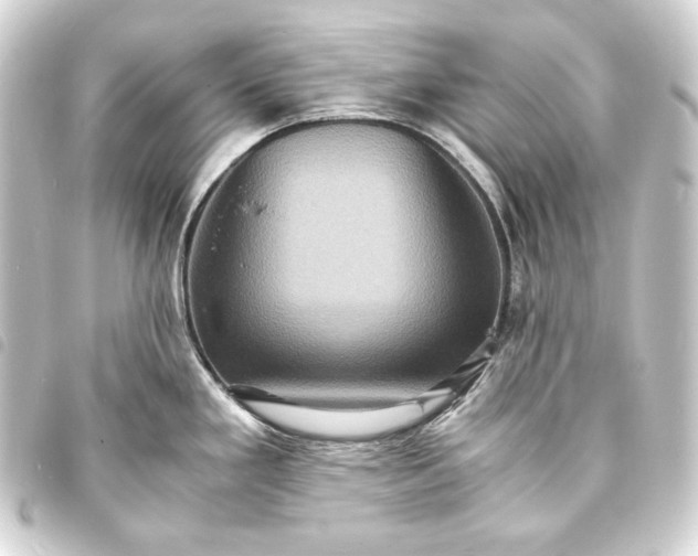 X0000093731293200710301037