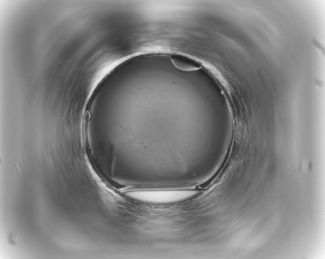 X0000093731295200710301037