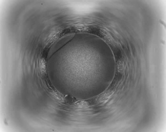 X0000093731298200710301036