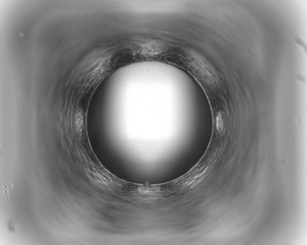X0000093731299200710301036