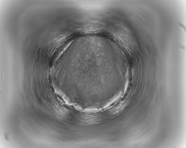 X0000093731300200710301036