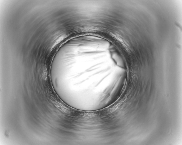 X0000093731306200710301036