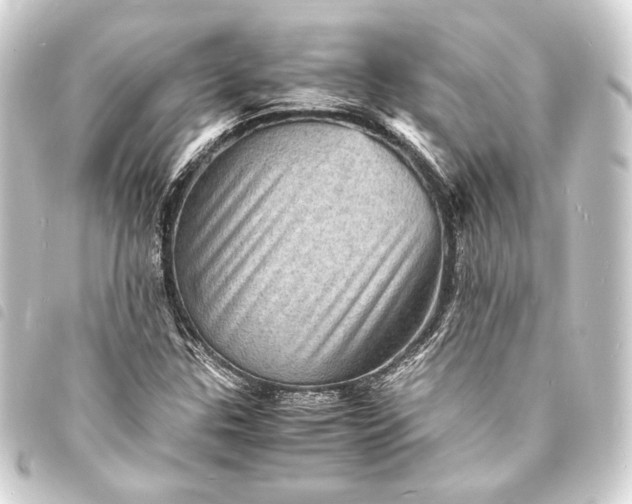 X0000093731307200710301036