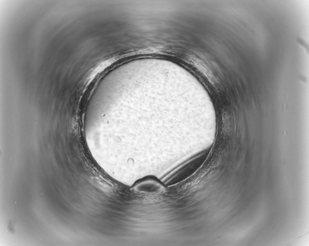 X0000093731308200710301036