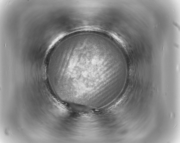 X0000093731310200710301036