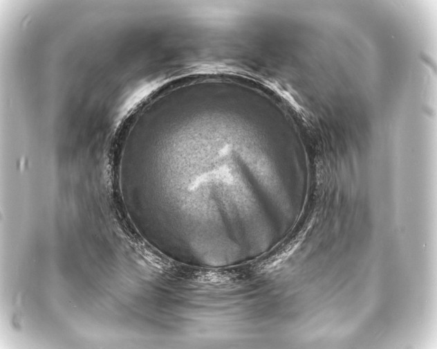 X0000093731311200710301036
