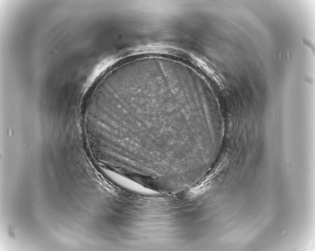 X0000093731312200710301036