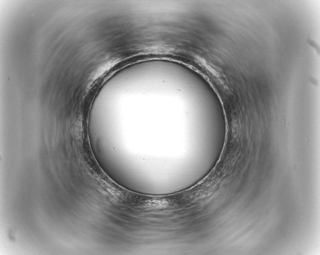 X0000093731315200710301036