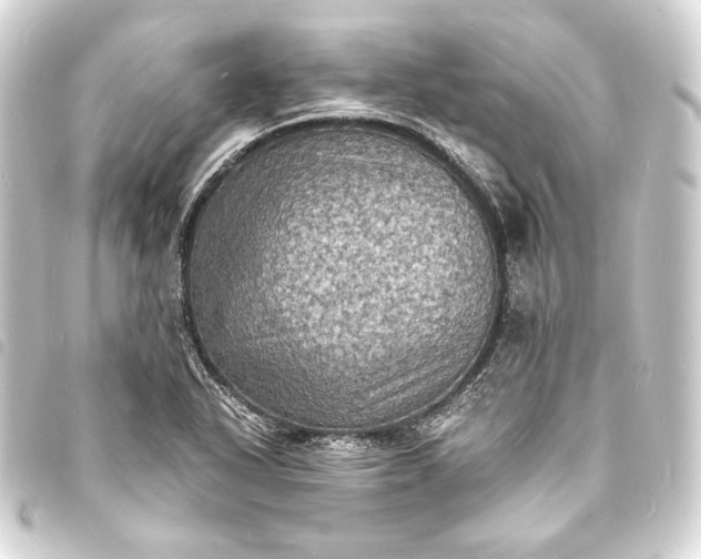 X0000093731318200710301036