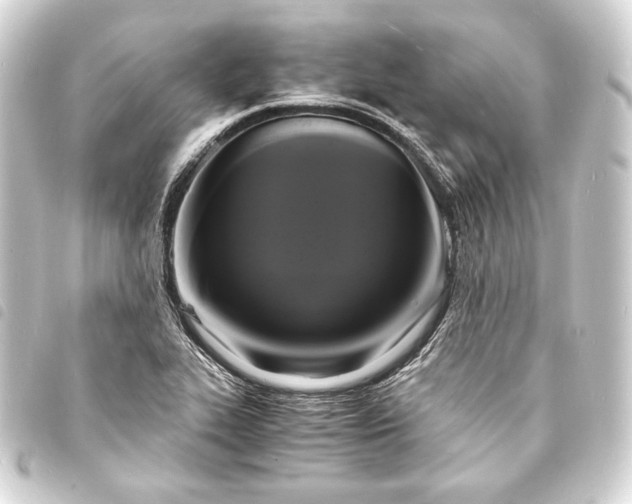 X0000093731319200710301036