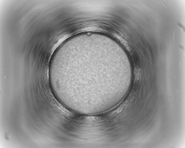 X0000093731322200710301036