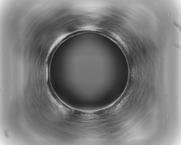 X0000093731323200710301036