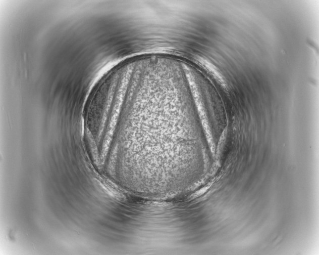 X0000093731324200710301036