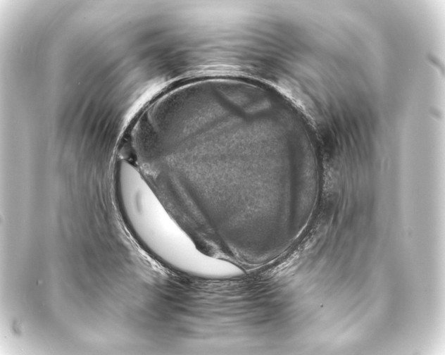X0000093731325200710301036