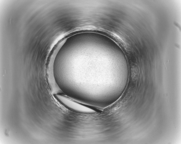 X0000093731326200710301036