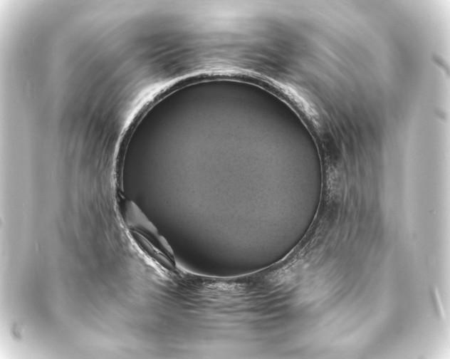 X0000093731327200710301036