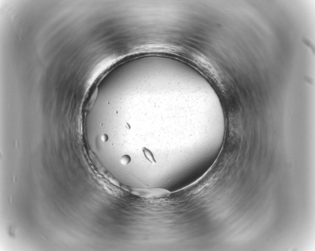 X0000093731328200710301036