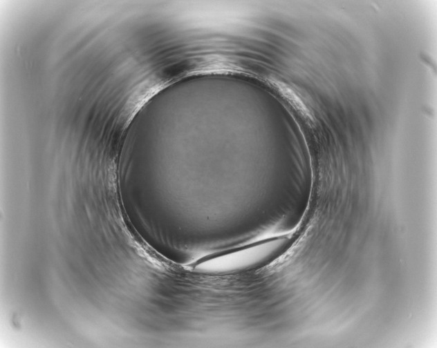 X0000093731329200710301036