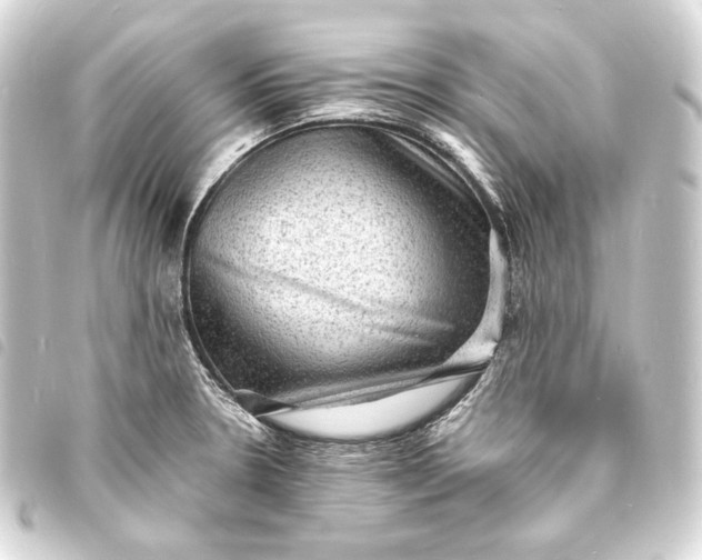 X0000093731330200710301036